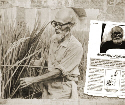 മസനോബു ഫുക്കുവോക്ക