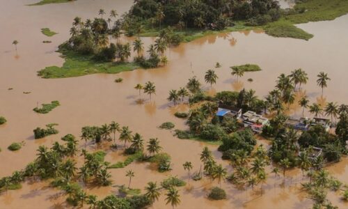 ഭിന്നശേഷി സമൂഹവും ദുരന്തനിവാരണ പദ്ധതികളും