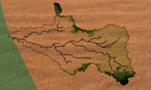 കാണാതായ പുഴ – 8 | പുഴ സംരക്ഷണത്തിന്റെ ചരിത്രം, പുഴയുടെ ഭാവി?