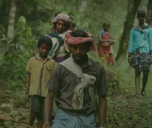 ആദിവാസികളും ജൈവവൈവിധ്യ സംരക്ഷണവും
