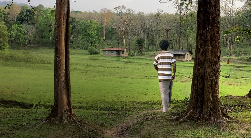 കാടിറങ്ങിയാൽ നഷ്ടമാകുന്ന ജീവിതം