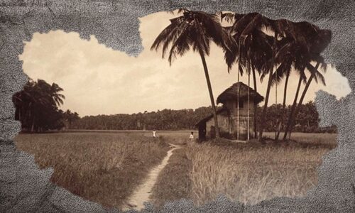 കേരളത്തിന്റെ പാരിസ്ഥിതിക ചരിത്രം: തകർച്ചകളും തിരുത്തലുകളും