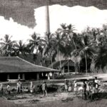 300 വർഷം കേരളത്തിന്റെ പരിസ്ഥിതിയിൽ സംഭവിച്ചത്