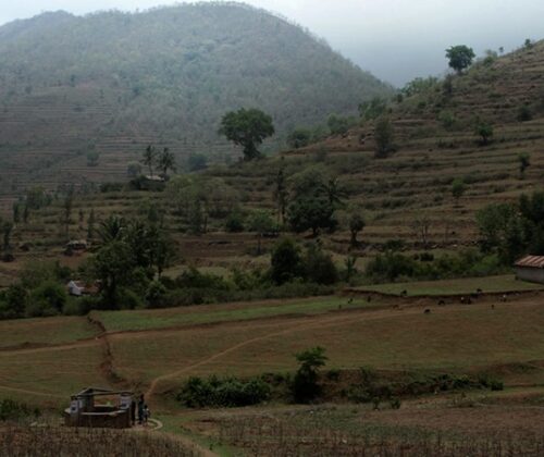 അട്ടപ്പാടിയിലെ ആദിവാസി ഭൂമി കേസിൽ നിർണ്ണായക ഉത്തരവ്