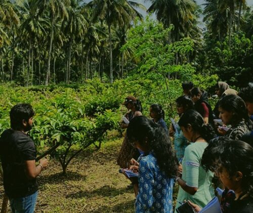 കൃഷിയുടെ ജ്ഞാനപ്പാന
