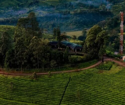 ഇ.എം.എസും എന്‍.സി. ശേഖറും ഉയര്‍ത്തിയ മുദ്രാവാക്യം